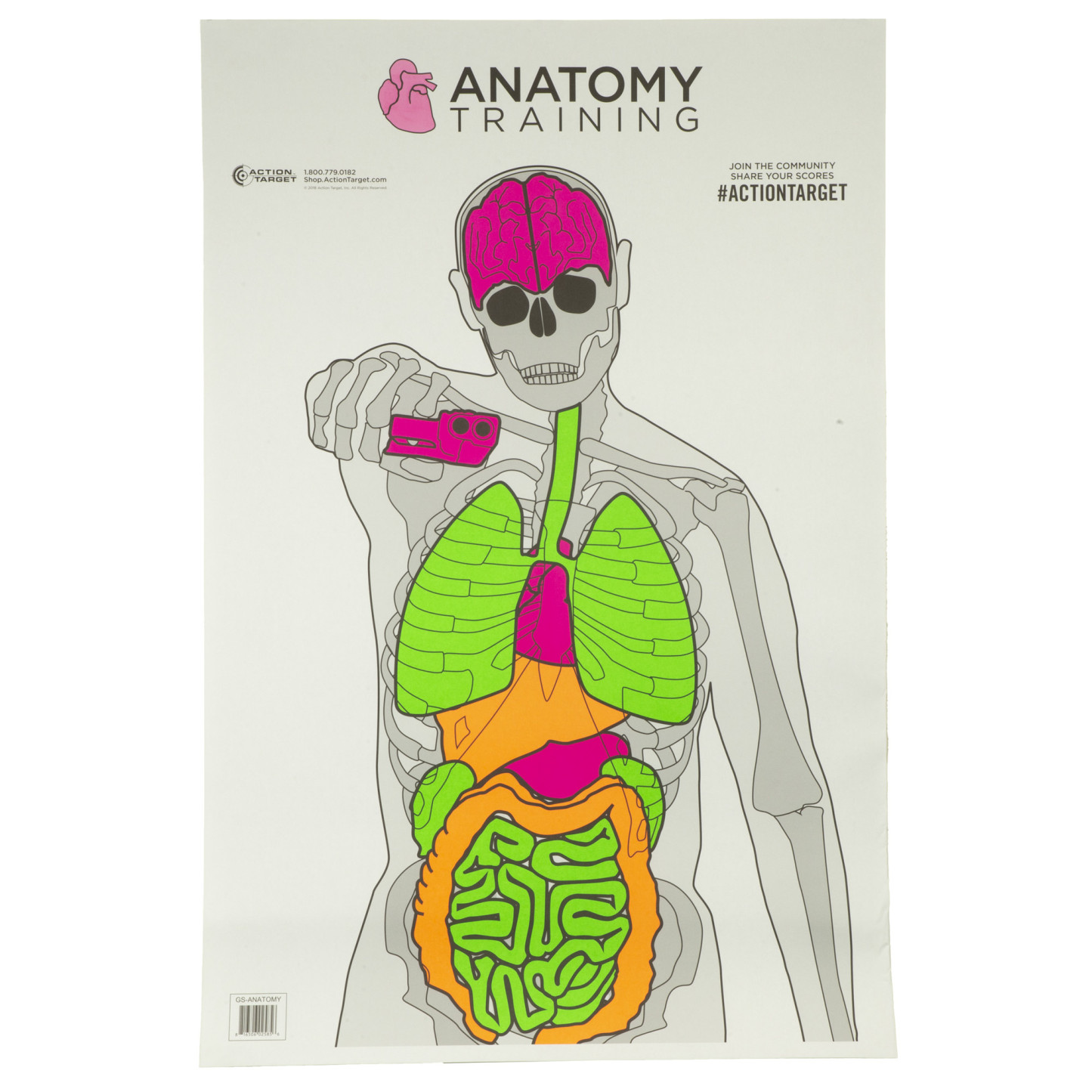 ACTGS-ANATOMY-100_1_HR