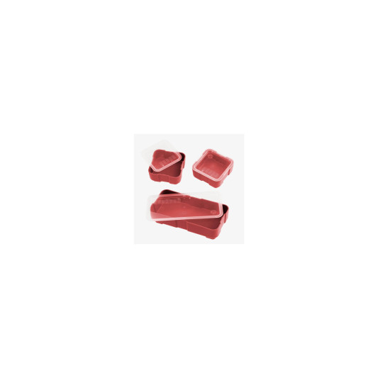 MPIMAG1389-RED_1_HR