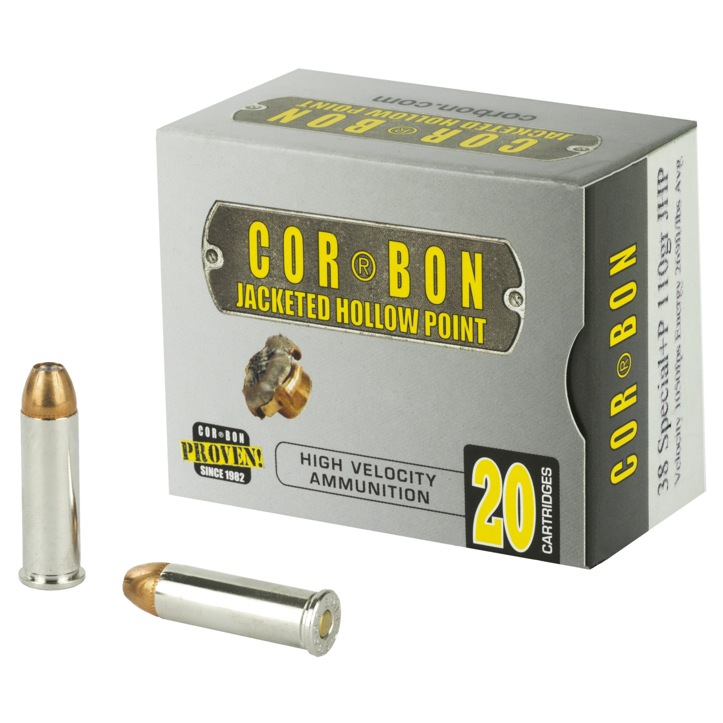 COR38110_1_HR