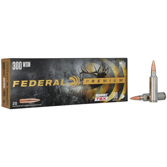 P300WSMF