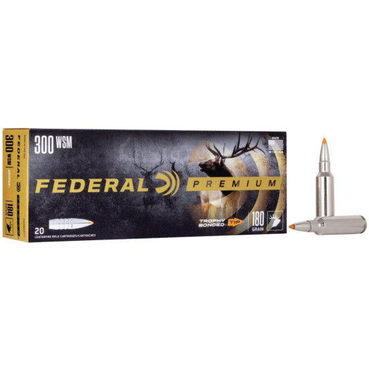 FAP300WSMTT1_1
