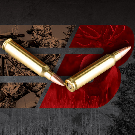 barnes-ammunition-centerfire-rifle-223-rem-55gr-hpbt-3240-fps-125-ct_ammunition copy