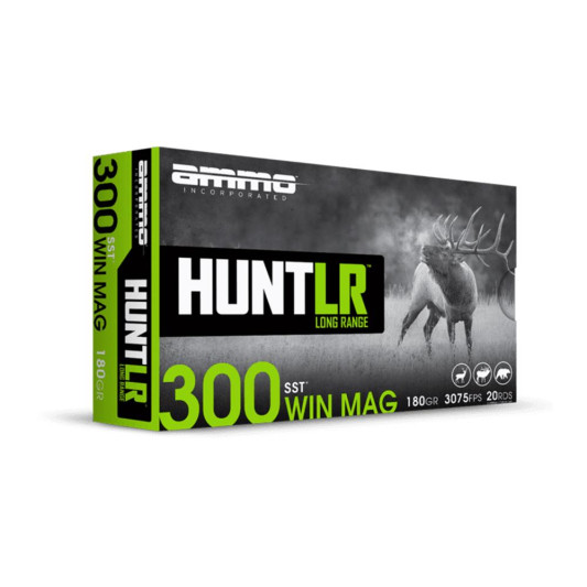 DH300WM180SSTA20-1