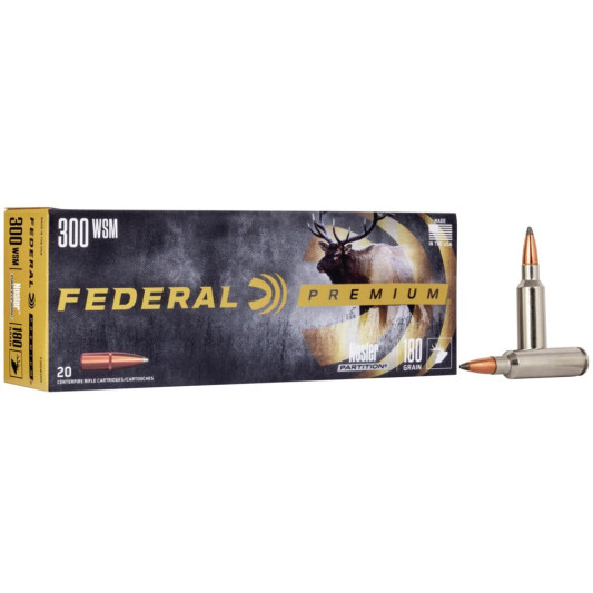FAP300WSMB_1