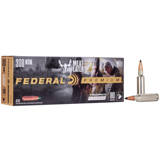 FAP300WSMTC1_1