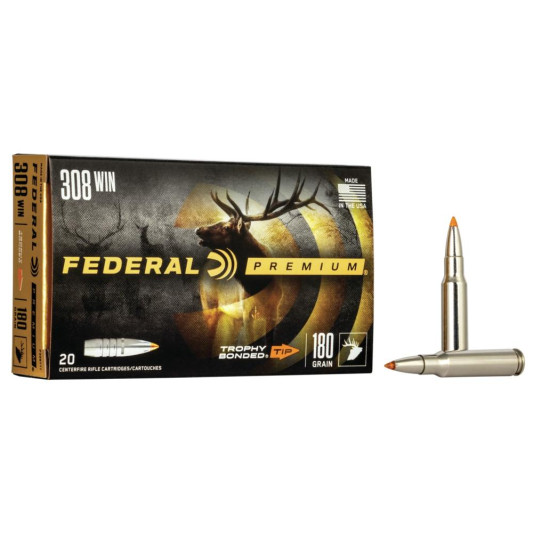 FAP308TT1_1