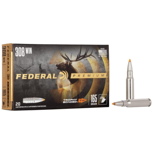 FAP308TT2_1