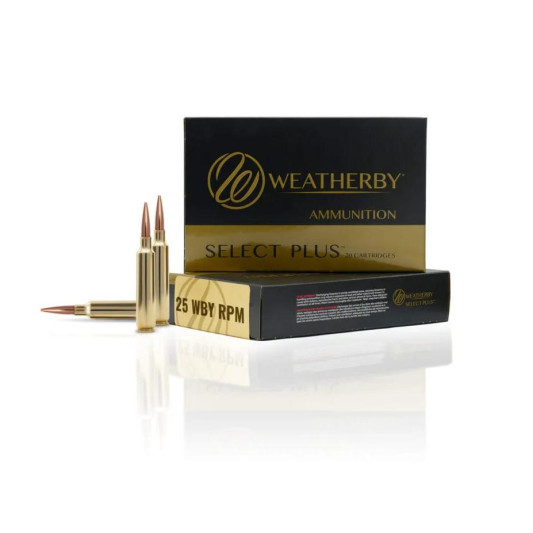 WMH25RPM117SST1