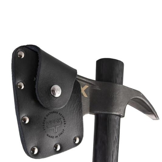 QQBUAXE05001-1_1