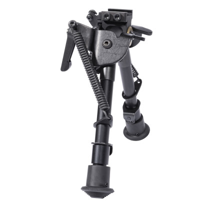 BO534-01A_1_HR